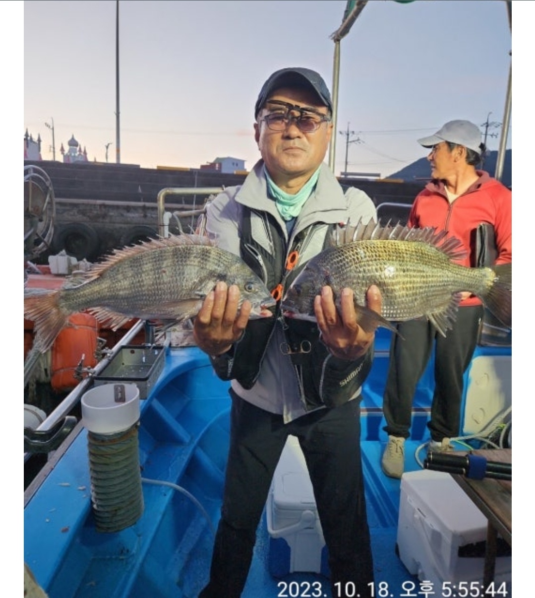 갤러리 사진