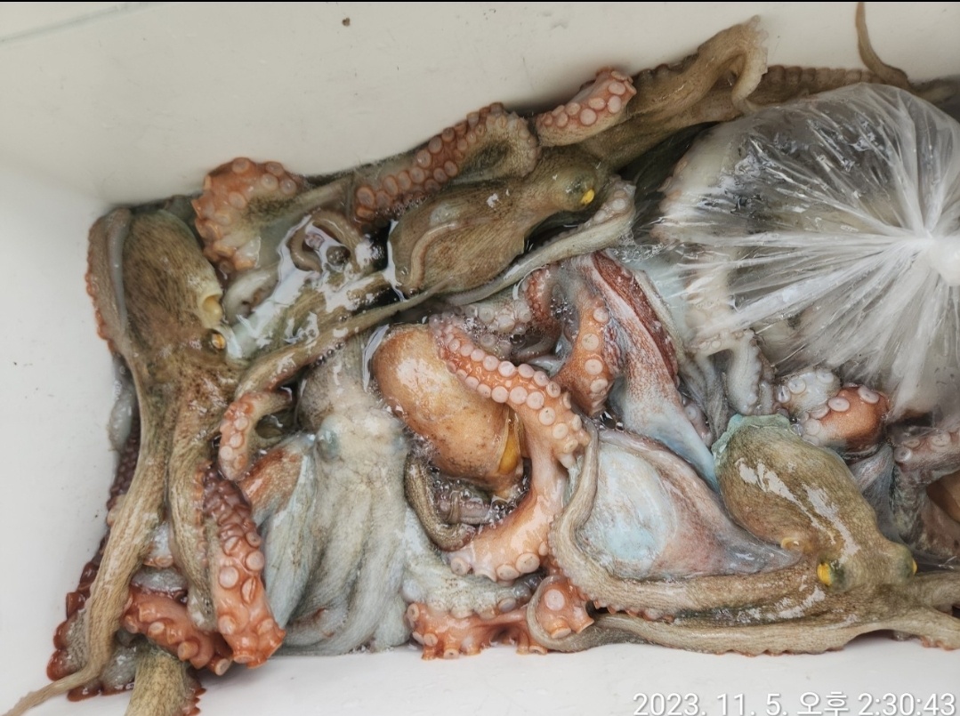 갤러리 사진