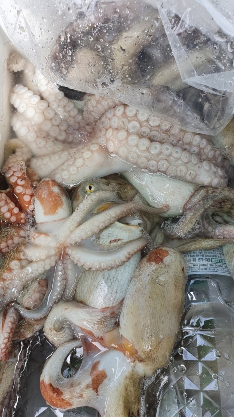 갤러리 사진