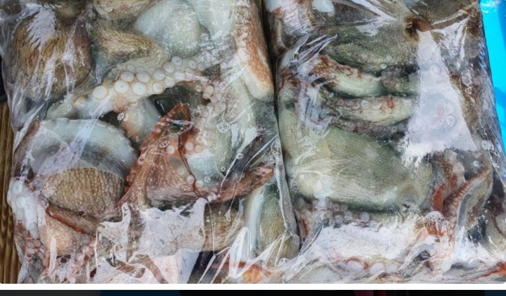 갤러리 사진